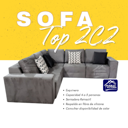 TOP-2C2